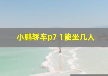 小鹏轿车p7 1能坐几人